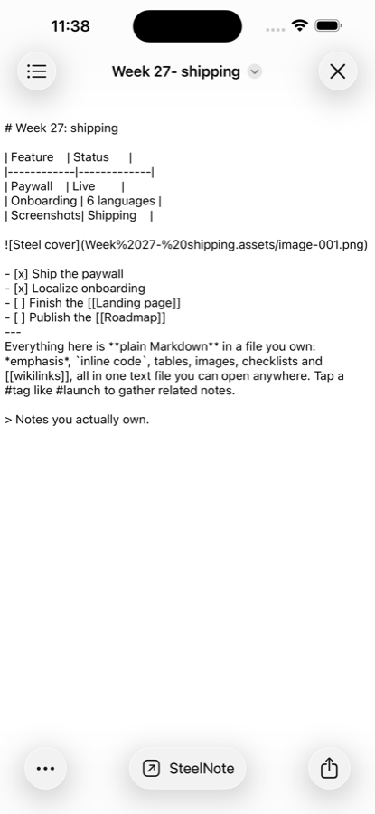 Quick Look in the Files app showing the raw Markdown source of a SteelNote note